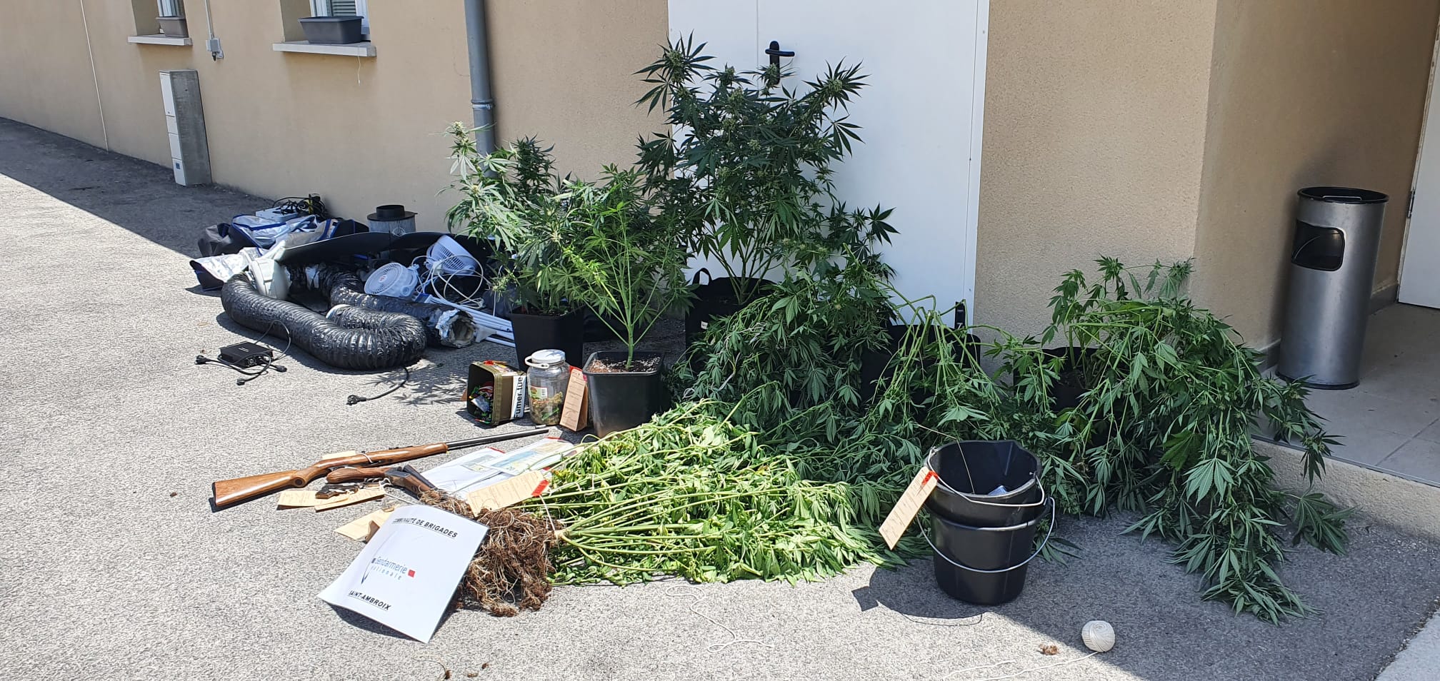 Saint-Ambroix : Découverte de pieds de cannabis et d’armes