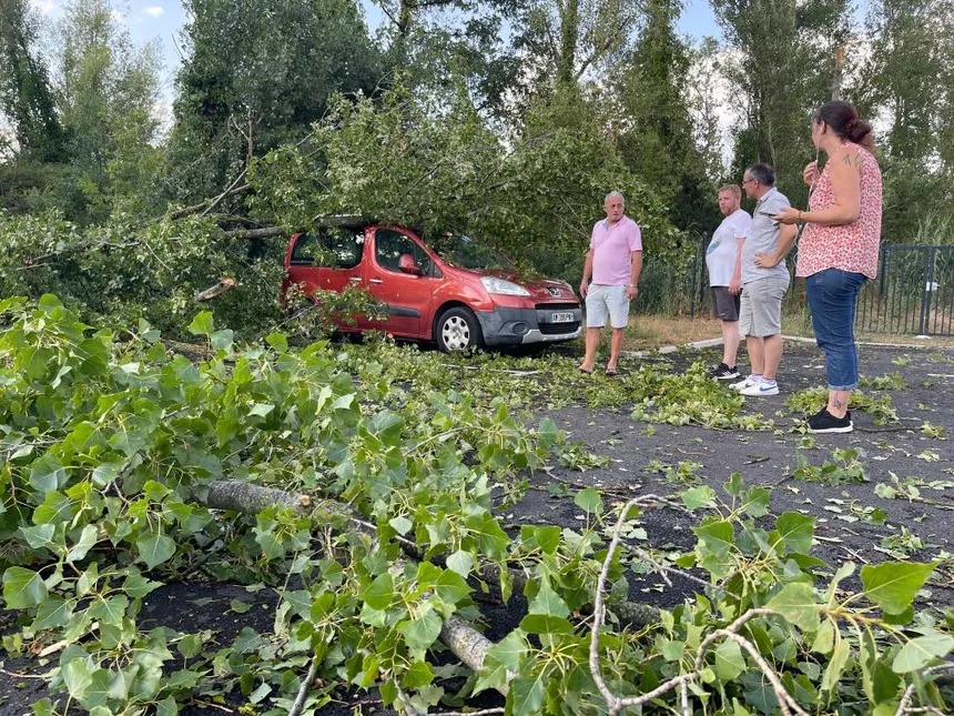 Des arbres couchés sur les voitures à Saint-Martin-de-Valgalgues à cause des orages dans le Gard