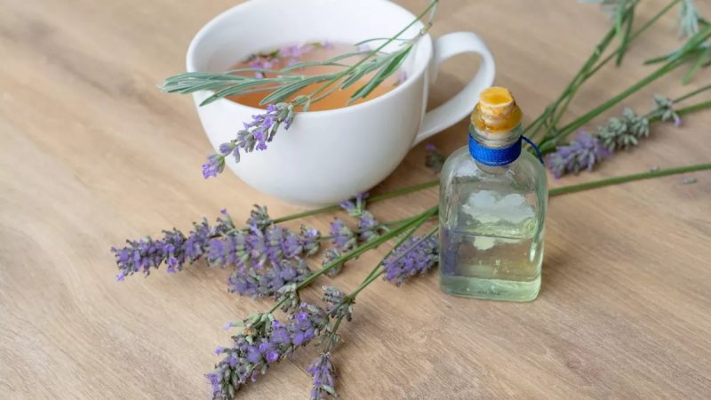 Allègre-les-Fumades : Journée des plantes aromatiques et médicinales
